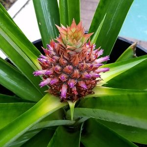 Meet your Posher, Terri